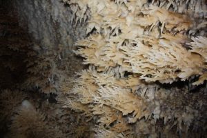 Grotte su Mannau - salone abeti