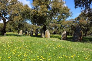 Menhir a Pranu Muttedu Menhir a Pranu Muttedu