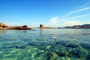 L'acqua della Pelosa a Stintino