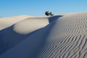 dune-porto-pino