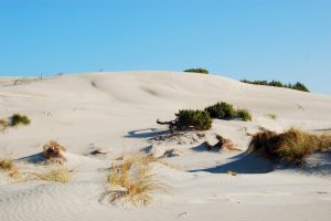 natura selvaggia porto pino