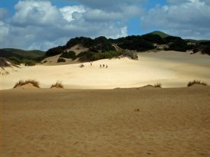 Le dune di Piscinas